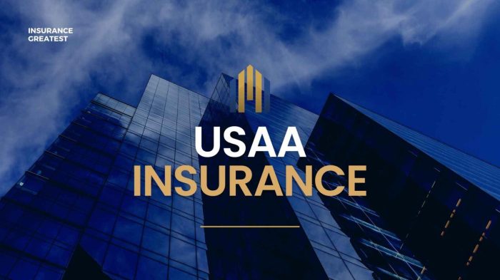 USAA Auto Insurance Quotes for Military Members